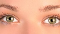 El lápiz que doma a las cejas rebeldes